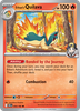 Deck cover card 3
