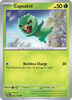 Deck cover card 2